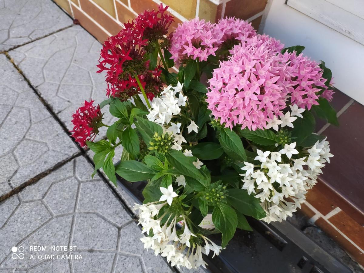 Ferienwohnung Espenau Bagian luar foto
